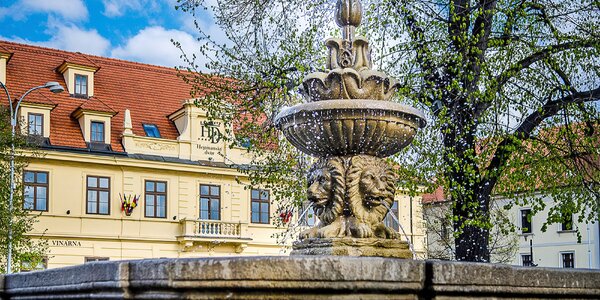 4* hotel ve Slaném: jídlo, wellness i masáž