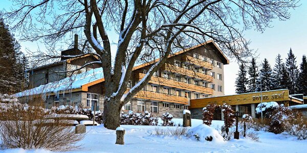 Pohoda na Šumavě se snídaní či polopenzí a wellness