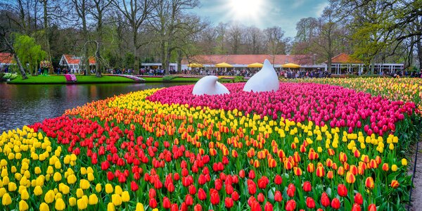 Holandsko na jaře: na otočku do parku Keukenhof