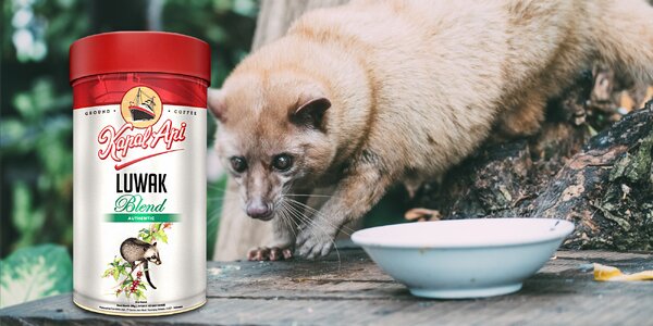 Cibetková káva Kopi Luwak z Indonésie: 200 g, až 12 ks