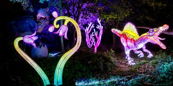 Světelný park Světla času od DinoLive a Lumina Parku