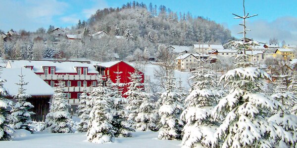 Německá Šumava: rodinný hotel s all inclusive i jízdárnou