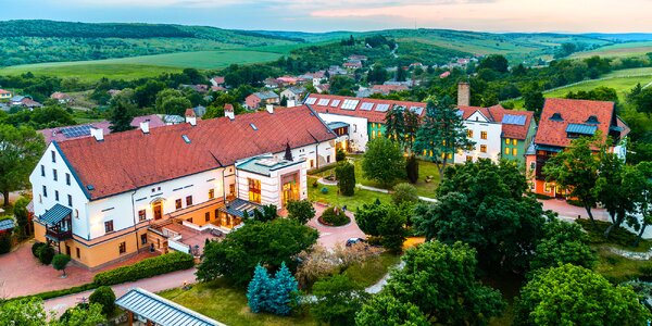 Zámecký 4* pobyt: polopenze a neomezený wellness