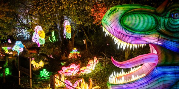 Světelný park Světla času od DinoLive a Lumina Parku