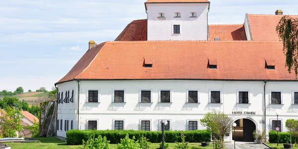 Pobyt na zámku Čejkovice s polopenzí a prohlídkou