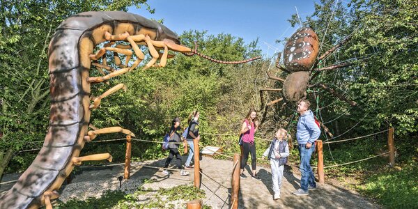 Celodenní vstup do zábavního areálu Fajnpark