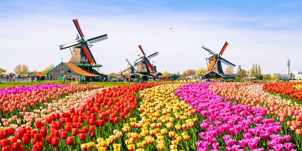 Návštěva květinového parku Keukenhof i Amsterdamu