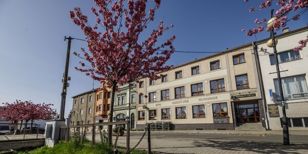 Oddech na Plzeňsku: jídlo i vířivka na pokoji