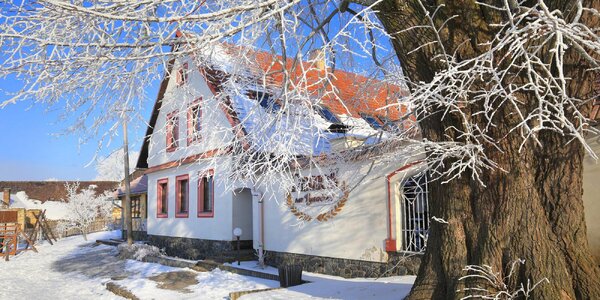 Penzion na Vysočině s polopenzí, bazénem a saunou