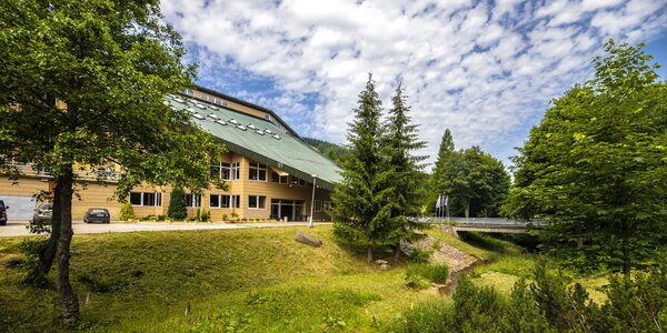 Harrachov: polopenze, nápoje, neomezený wellness