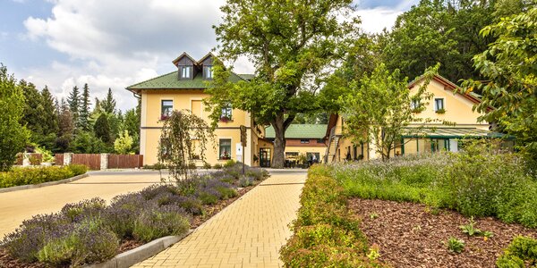 Pobyt na Vysočině v resortu či treehouse: polopenze i wellness