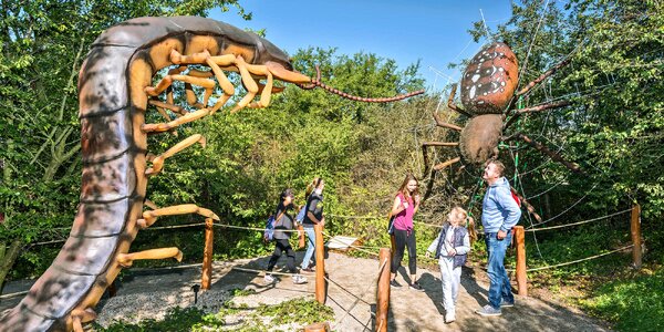 Celodenní vstup do zábavního areálu Fajnpark