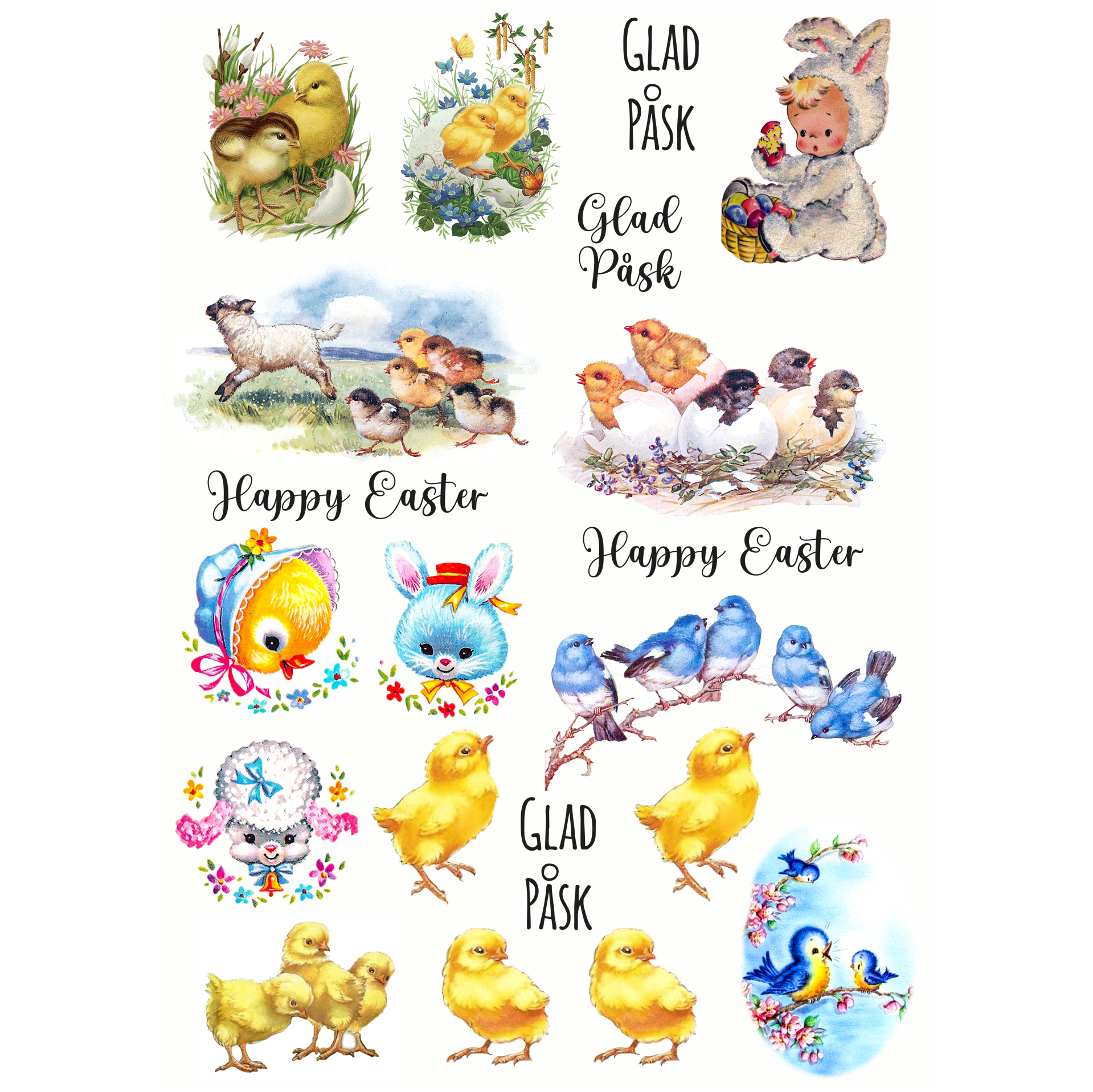 Transferark Kycklingar