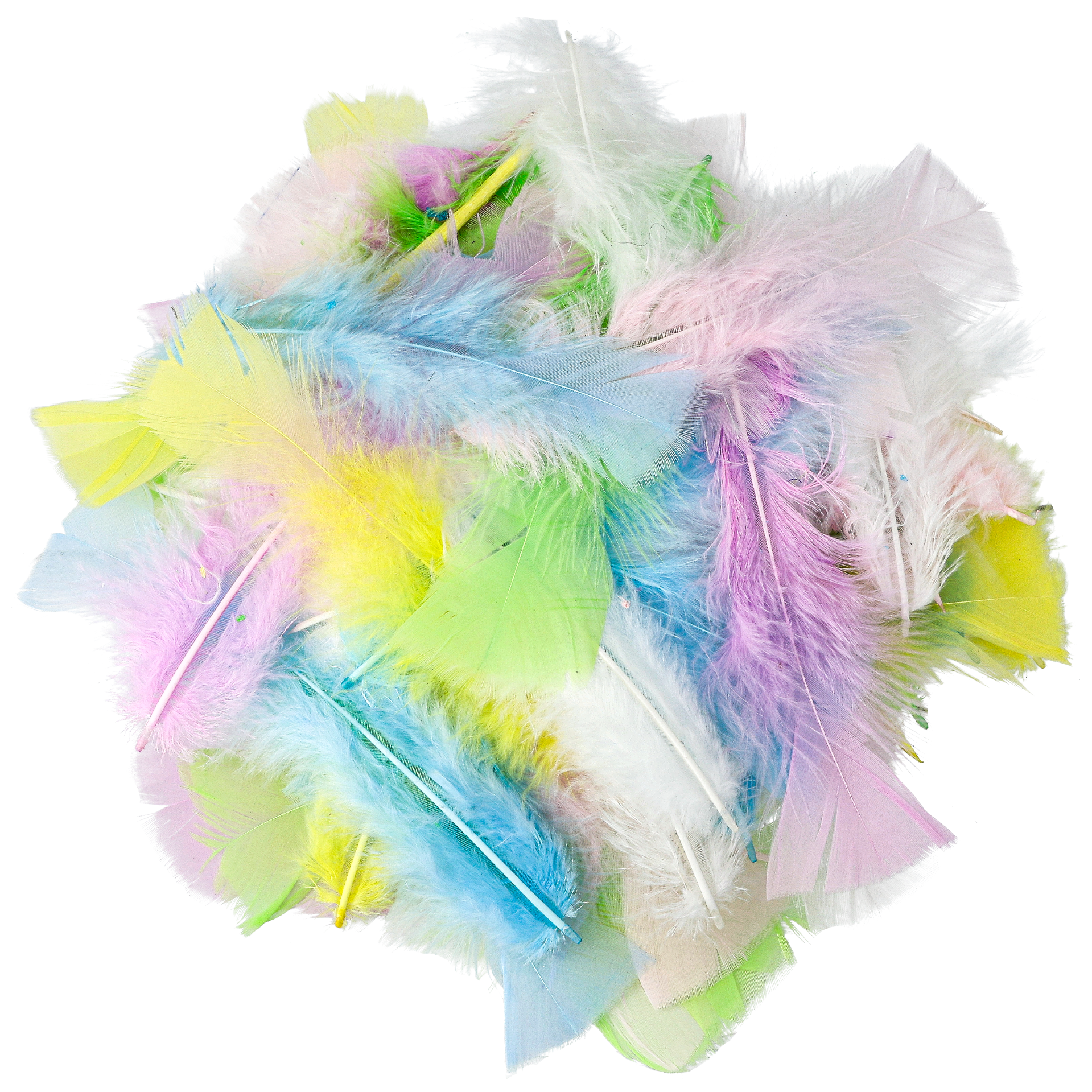 Fj&auml;drar pastell