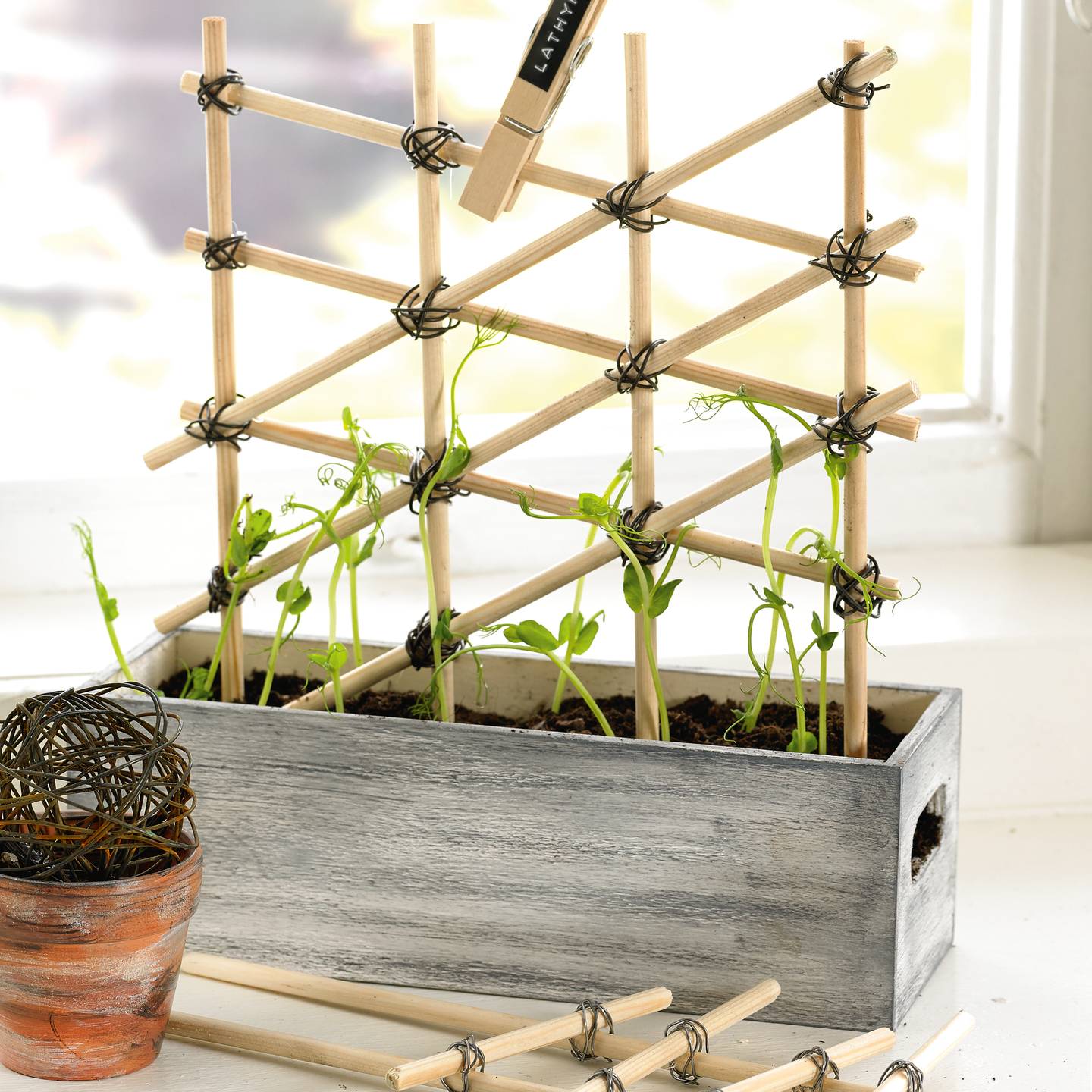 Spalj&eacute; av blomsterpinnar