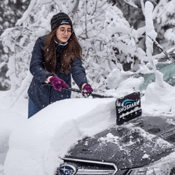 Snøskraper SnoShark Snøskraper SnoShark