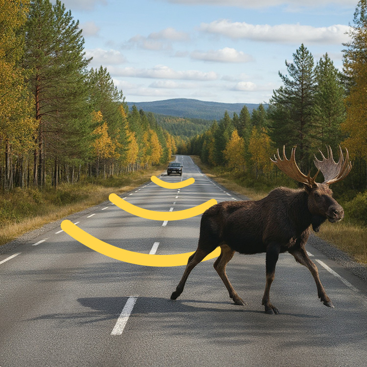 Viltvarsler til bilen
