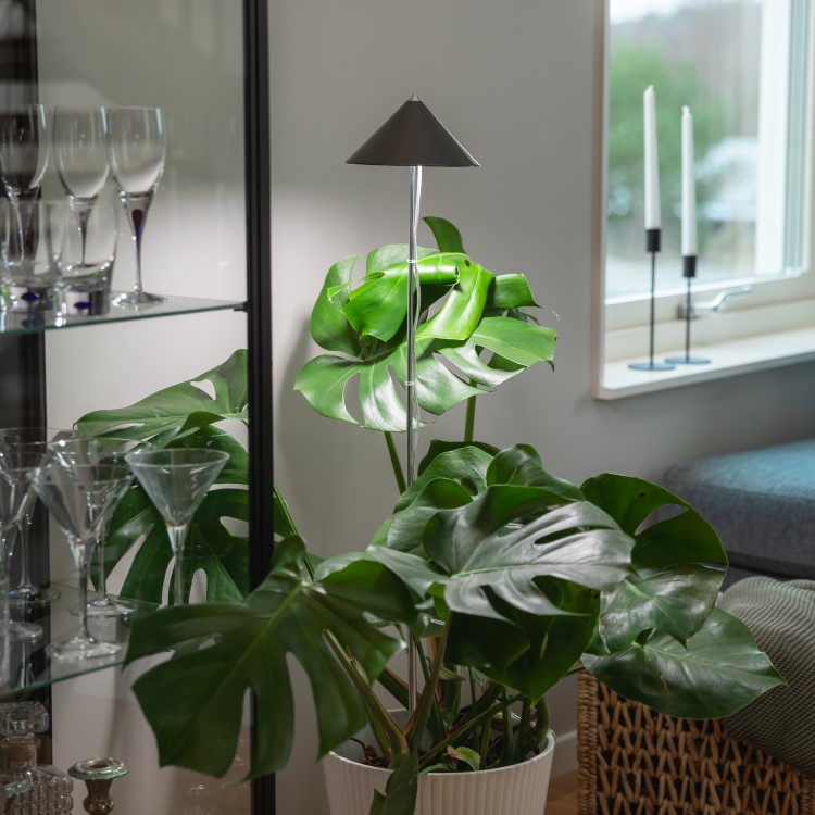 Plantelampe p&aring; stang XL 25W