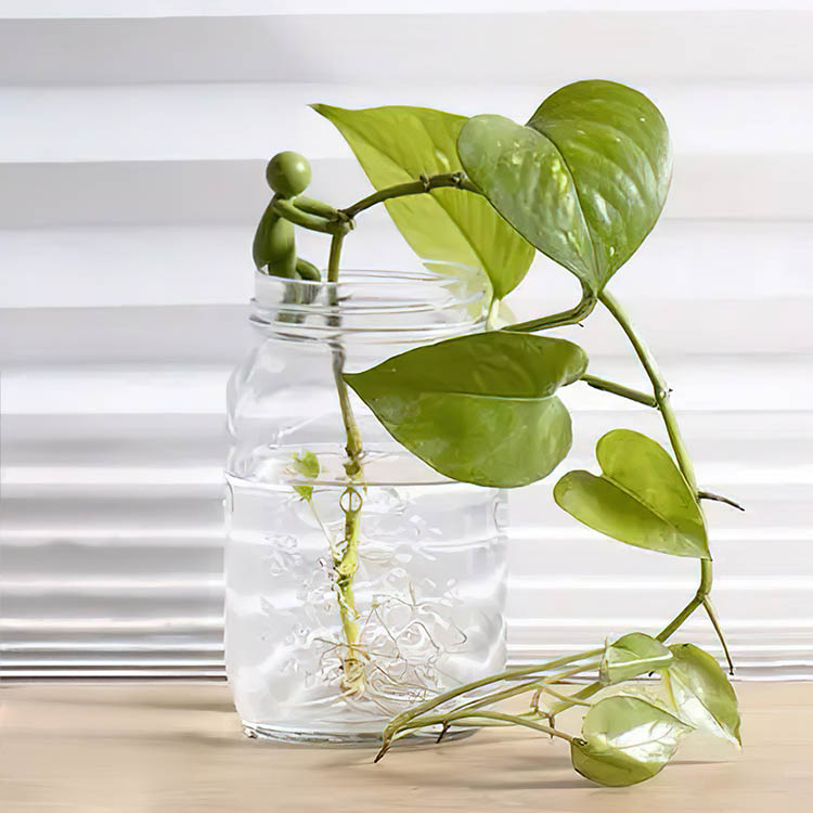 Plantest&oslash;tte for stiklinger, 3 stk.