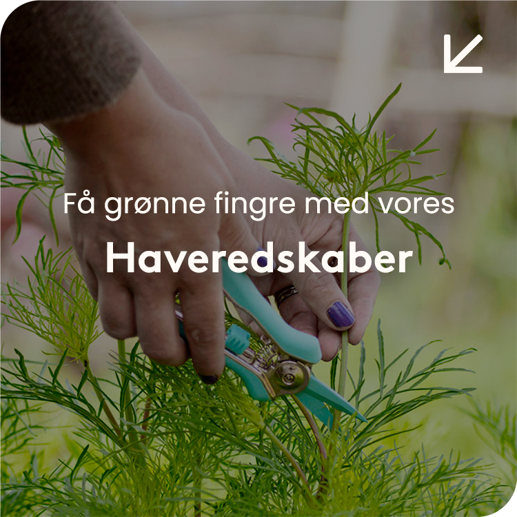 Se alt innen dyrking &rarr;