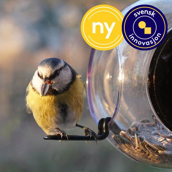 Rund fuglemater til vindu