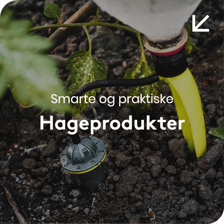 Se alt til hagen &rarr;