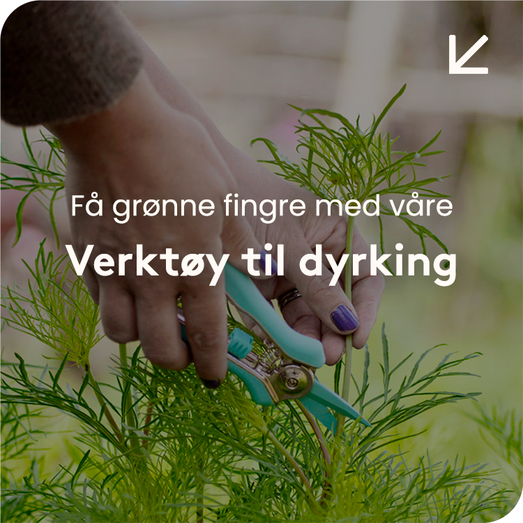 Til blomster og dyrking &rarr;