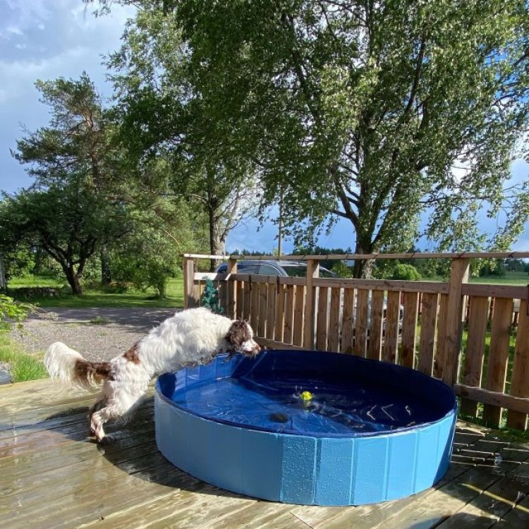 Sammenleggbart hundebasseng