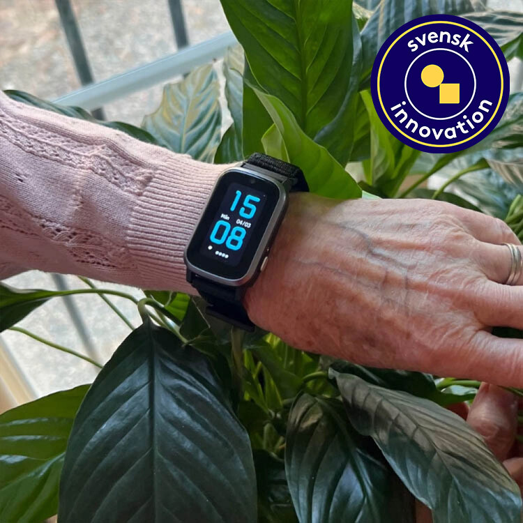 Trygghetslarm, Sensorem Trygghetslarm, Sensorem