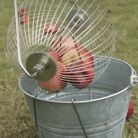 Upplockare för fallfrukt