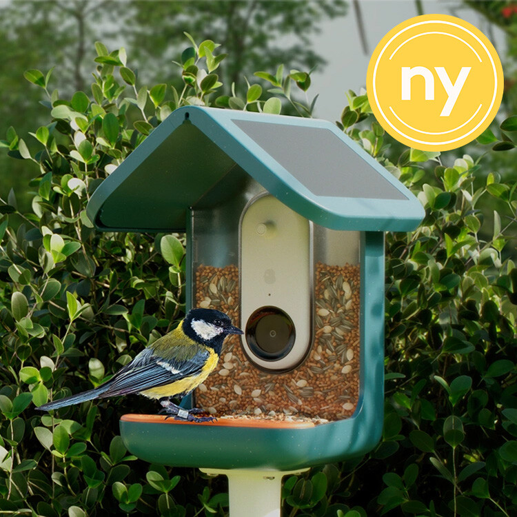 Fågelmatare med kamera, Birdbuddy Fågelmatare med kamera, Birdbuddy