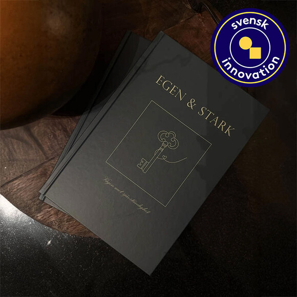 Boken om att flytta hemifrån – Egen och Stark