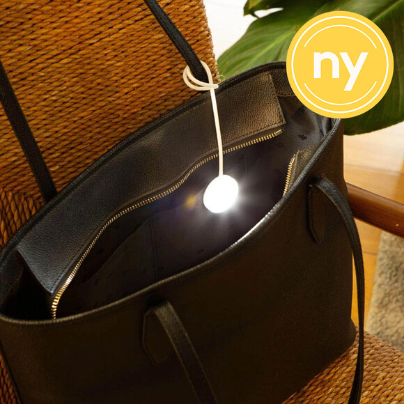 Uppladdningsbar v&auml;sklampa