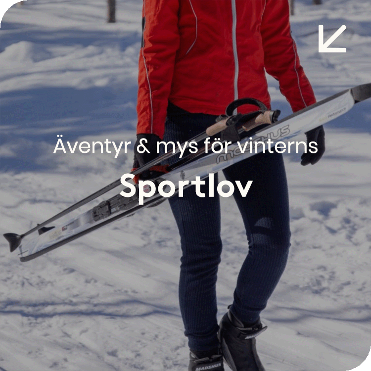 Se alla tips till sportlovet &rarr;