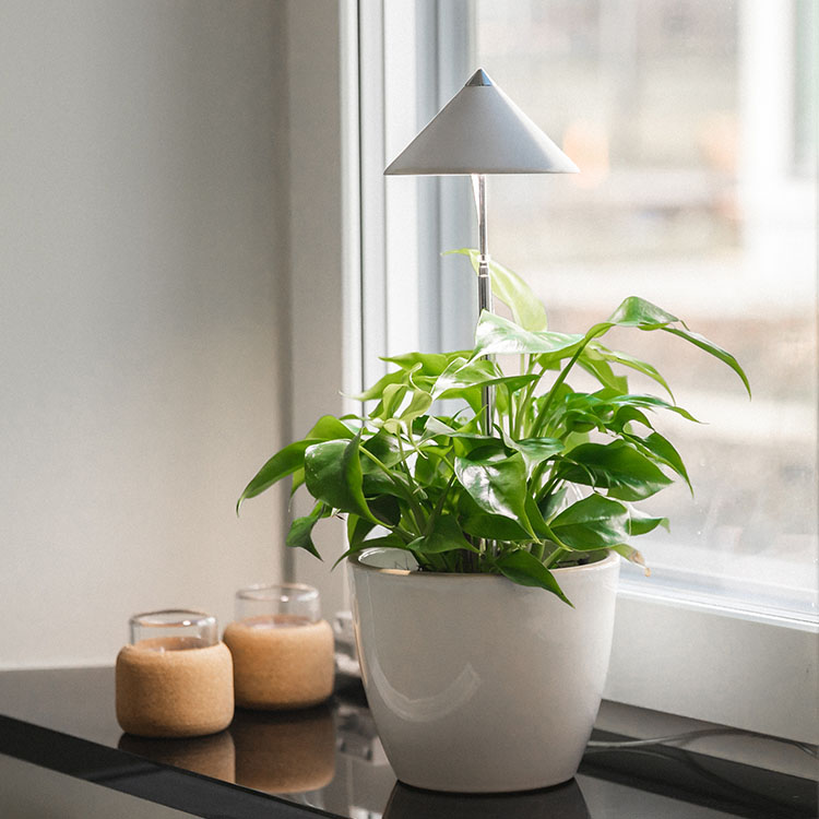 V&auml;xtlampa p&aring; spett 7W