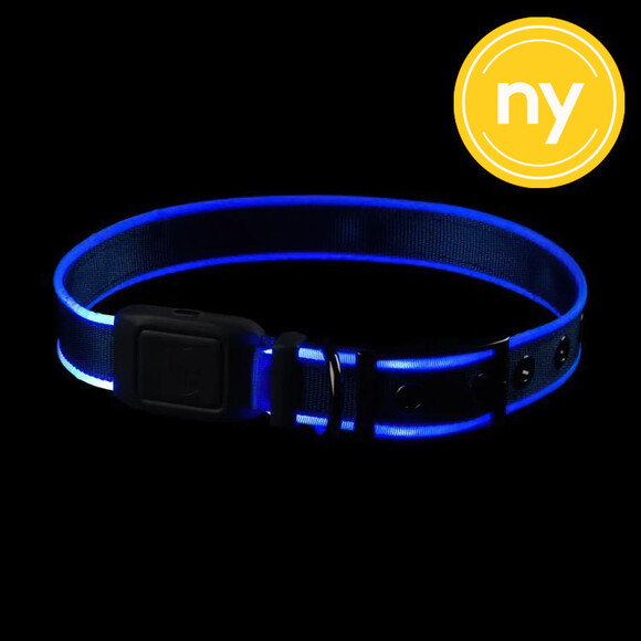 Lysande hundhalsband