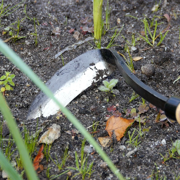 Ogr&auml;shacka i kolst&aring;l