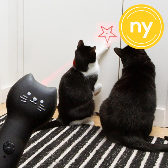 Laserpekare f&ouml;r katt