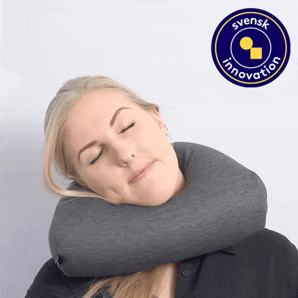 Resekudde med laptopst&ouml;d