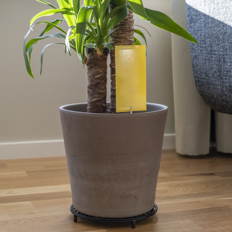 Klisterf&auml;lla till v&auml;xter 12-pack