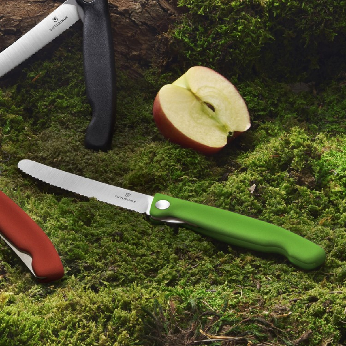 F&auml;llbar picknickkniv med tandat blad