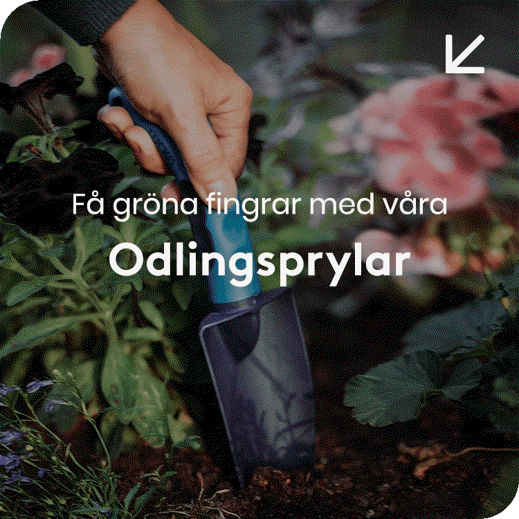 Mer f&ouml;r blommor och odling &rarr;