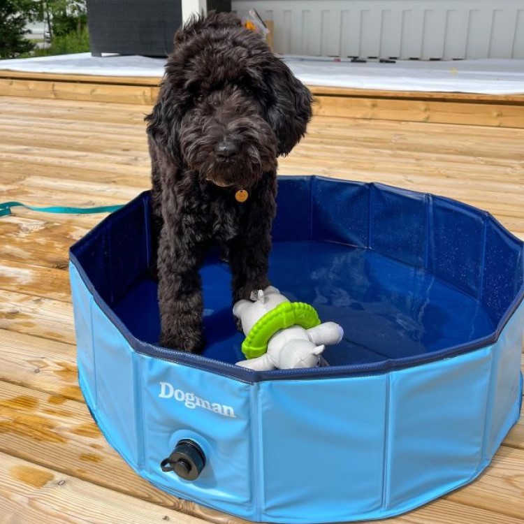 Hopf&auml;llbar hundpool