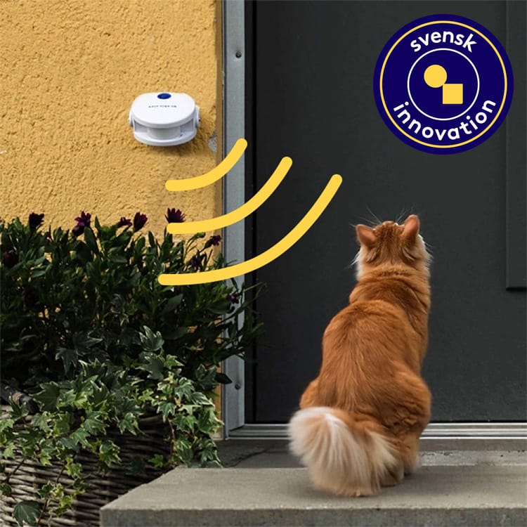 D&ouml;rrklocka f&ouml;r katten
