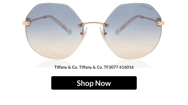 Tiffany & Co. Tiffany & Co. TF3077 616016