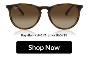 Ray-Ban RB4171 Erika 865/13