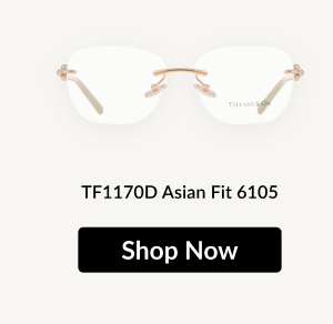 TF1170D Asian Fit 6105