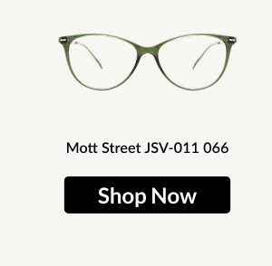 Mott Street JSV-011 066