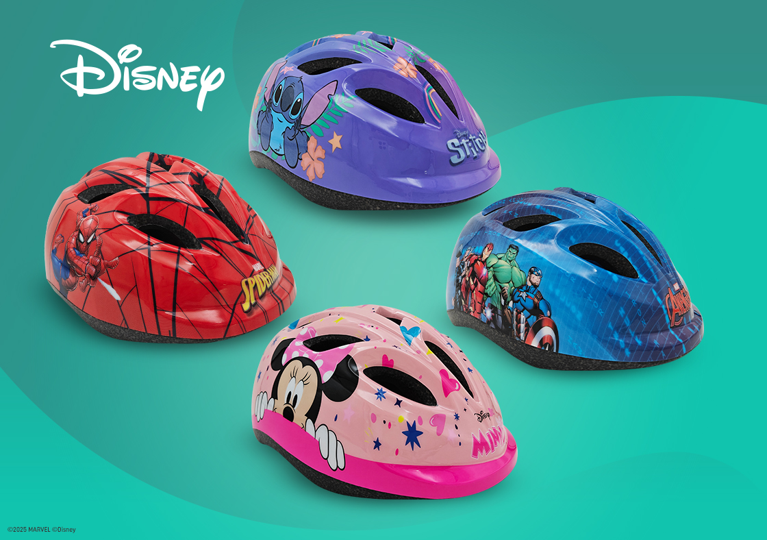 Disney safety equipment