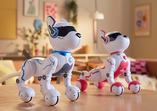 Ziggy & Zoey the Robo Dogs